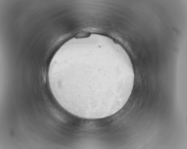 X0000110760062200907271152