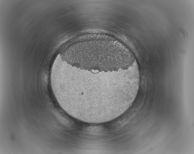 X0000110760063200907271152