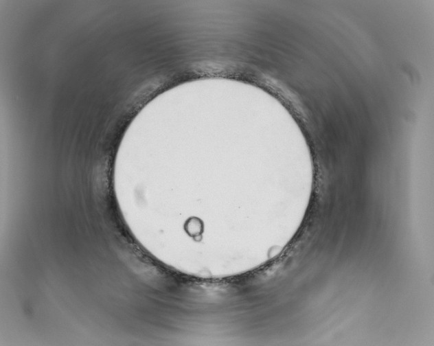 X0000110760065200907271152