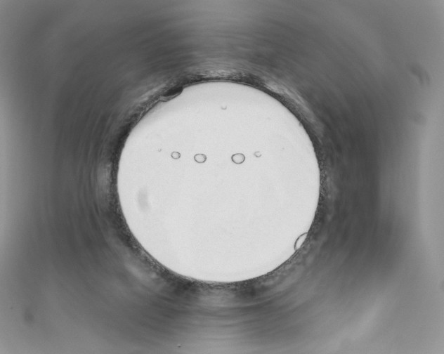 X0000110760066200907271152