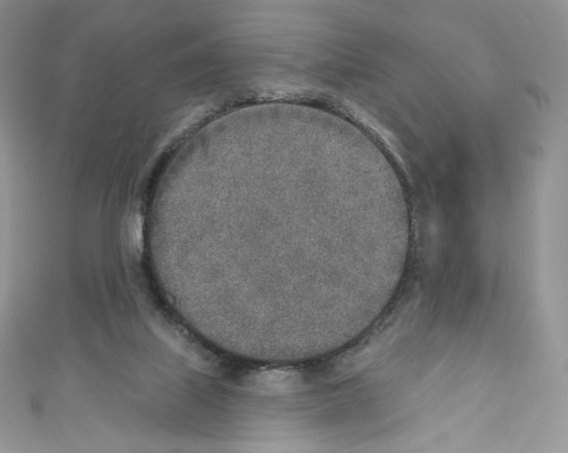 X0000110760067200907271152