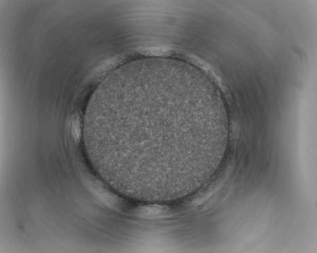 X0000110760069200907271152