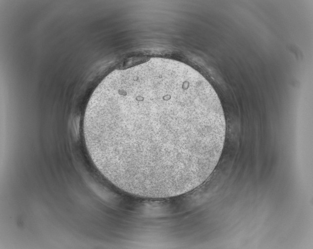 X0000110760070200907271152