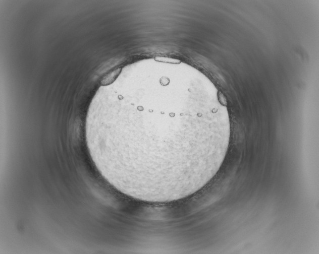 X0000110760071200907271152