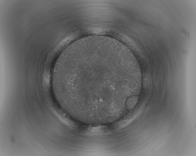 X0000110760072200907271152