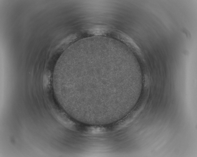 X0000110760073200907271152