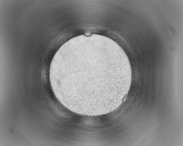 X0000110760074200907271152