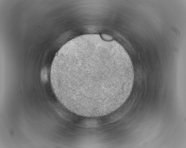 X0000110760075200907271152