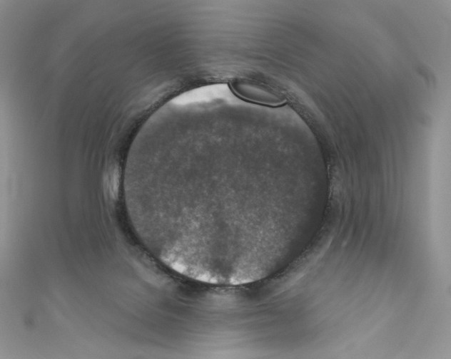X0000110760076200907271152