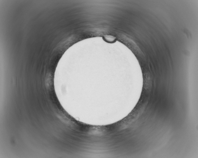X0000110760077200907271152