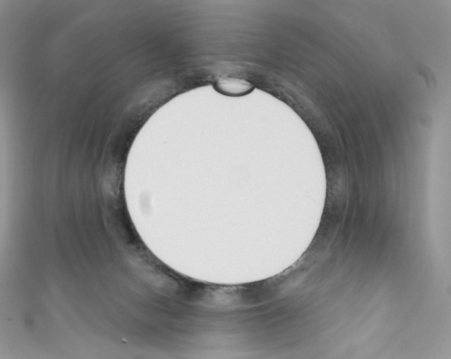 X0000110760078200907271152