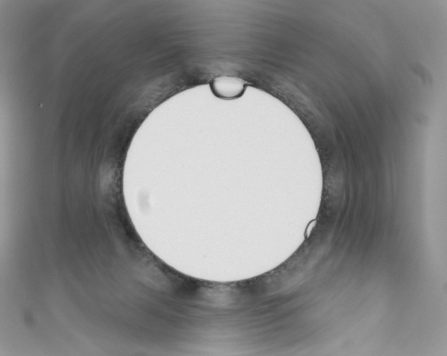 X0000110760079200907271152
