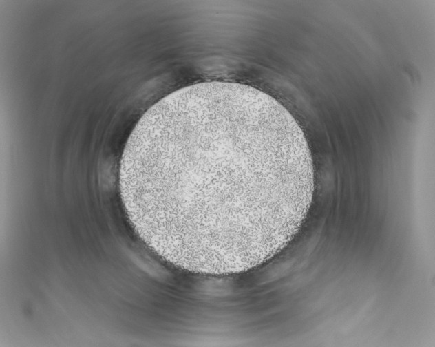 X0000110760081200907271152