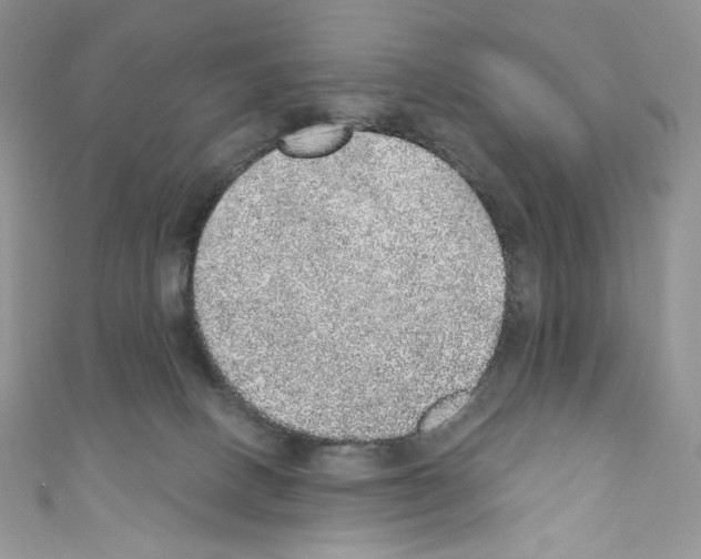 X0000110760082200907271152