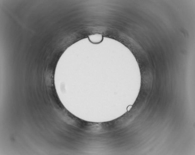 X0000110760083200907271152