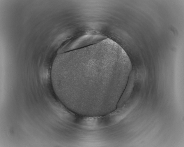 X0000110760084200907271152
