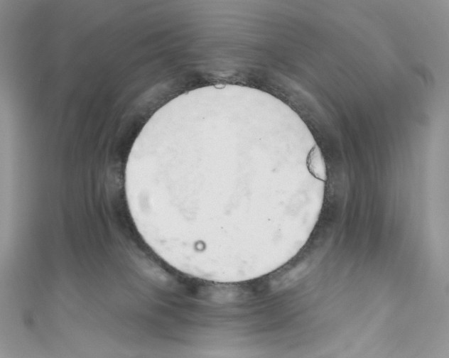 X0000110760085200907271152