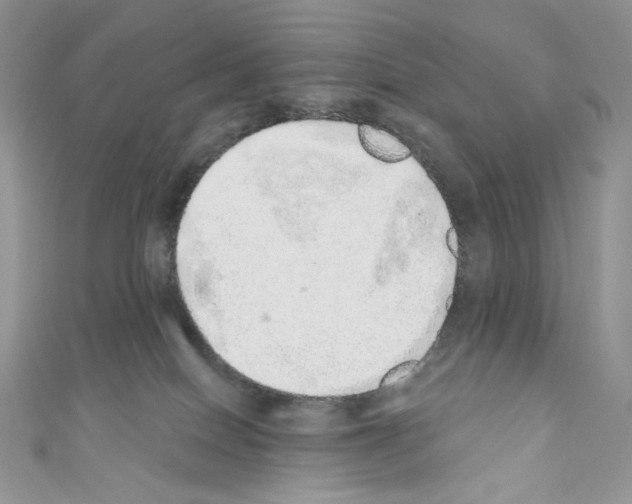 X0000110760086200907271152