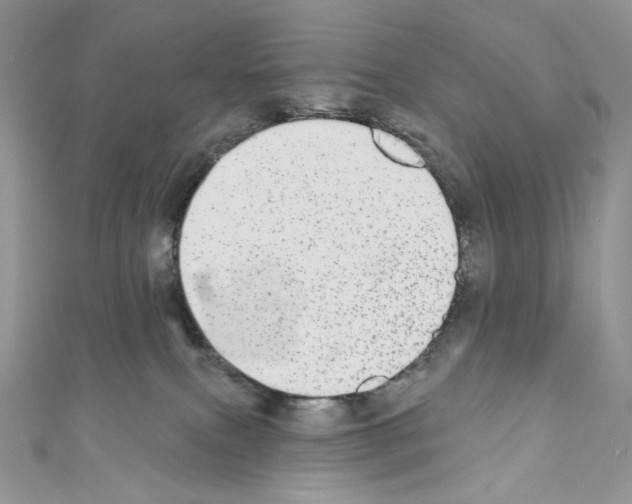 X0000110760087200907271152