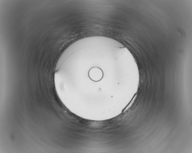 X0000110760088200907271152