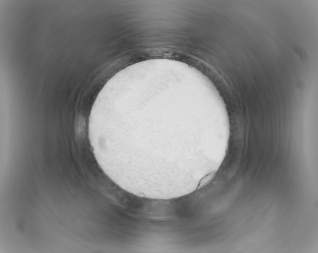 X0000110760089200907271152
