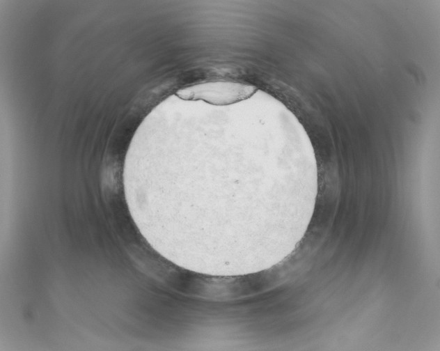 X0000110760090200907271152