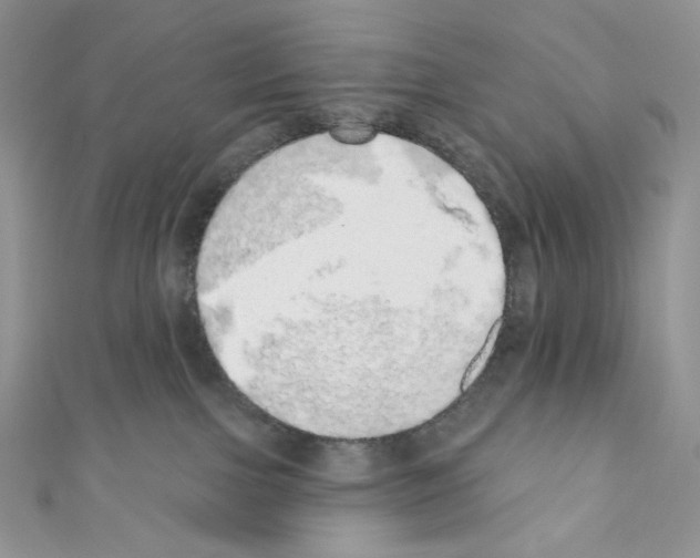 X0000110760091200907271152