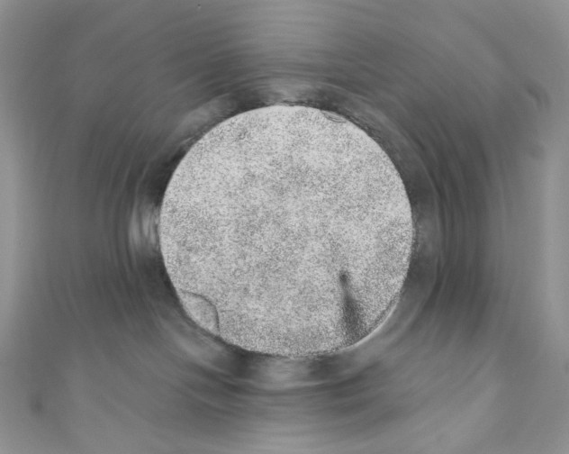 X0000110760094200907271152