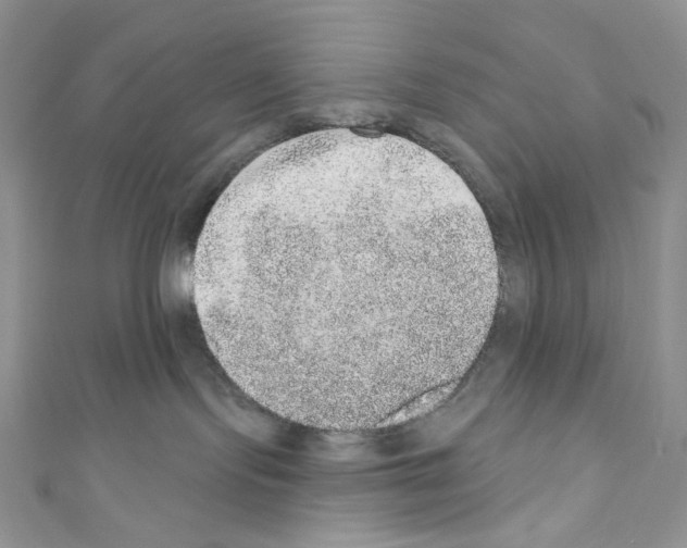 X0000110760095200907271152