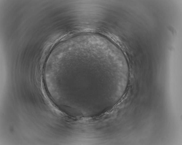 X0000110760097200907271152