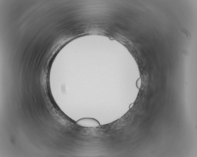 X0000110760098200907271152