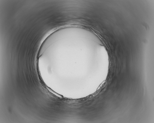 X0000110760100200907271152