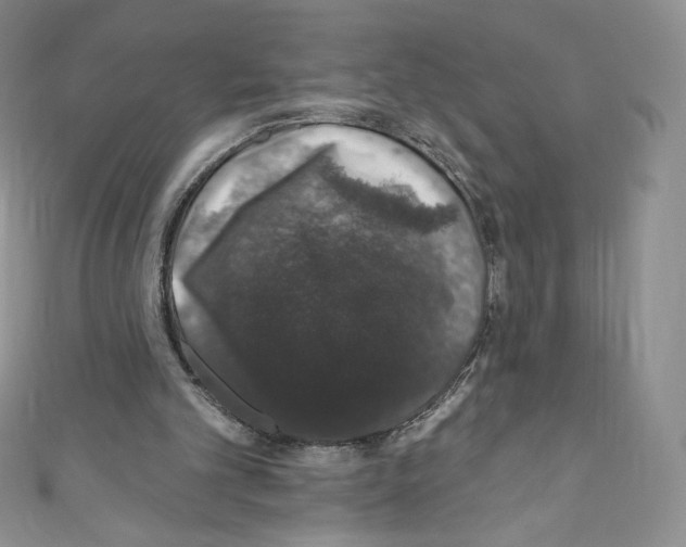 X0000110760101200907271152