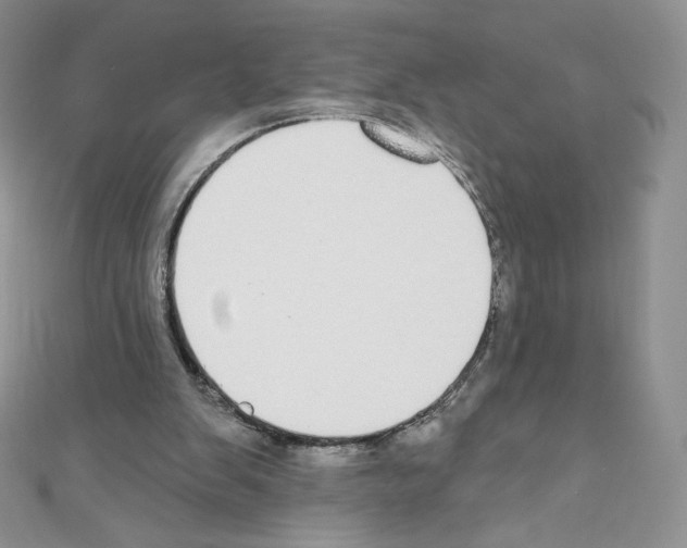 X0000110760103200907271152