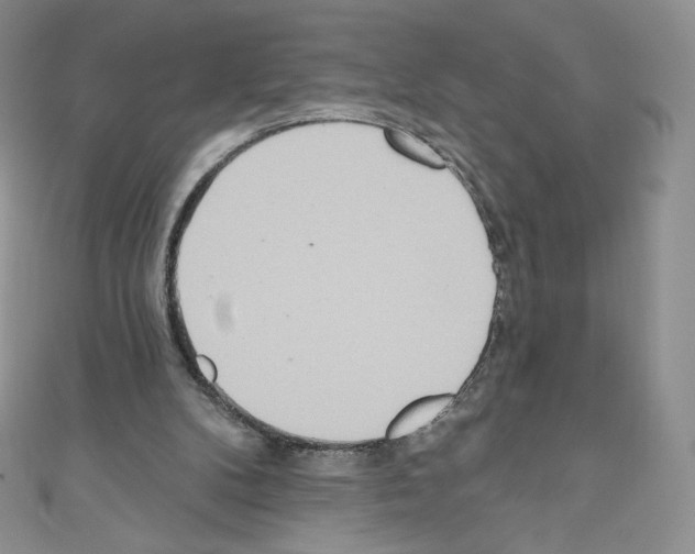 X0000110760104200907271152
