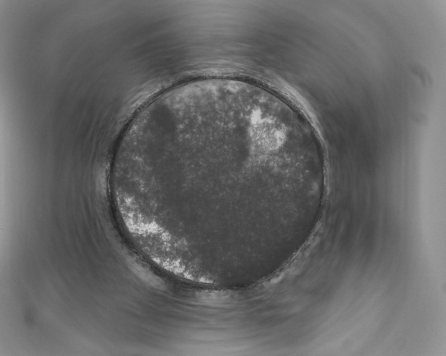 X0000110760105200907271152