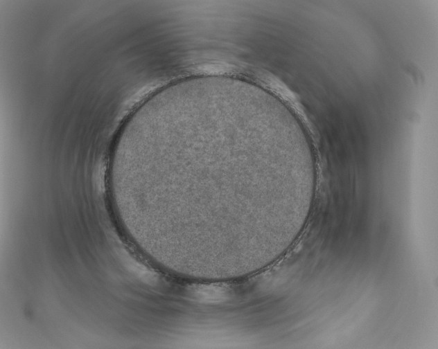 X0000110760106200907271152