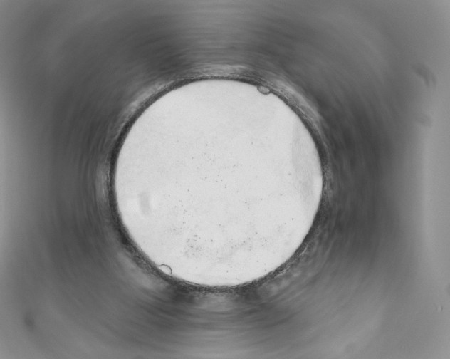 X0000110760107200907271152