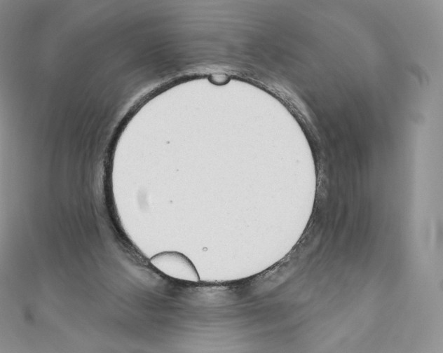 X0000110760108200907271152
