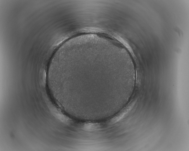 X0000110760109200907271152