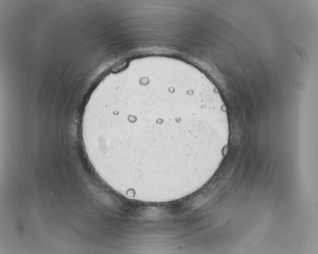 X0000110760111200907271152