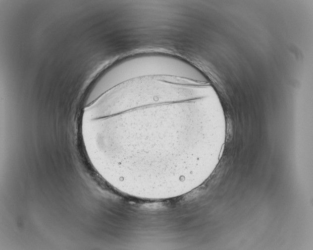 X0000110760112200907271152