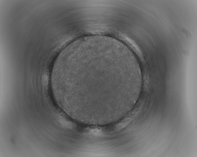 X0000110760113200907271152