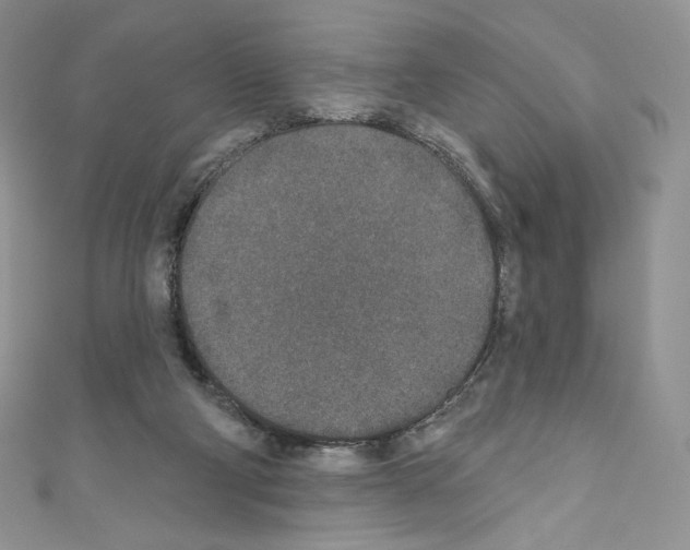 X0000110760114200907271152