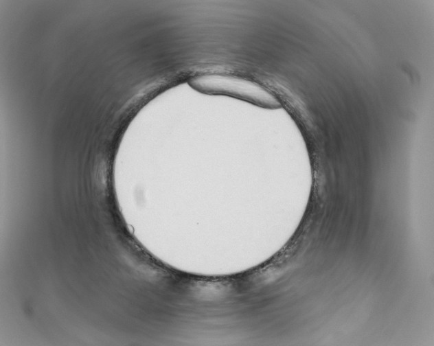 X0000110760115200907271152