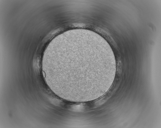 X0000110760116200907271151