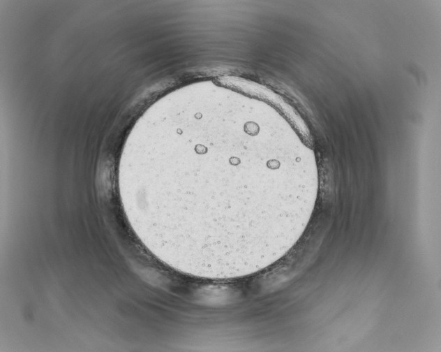 X0000110760119200907271151