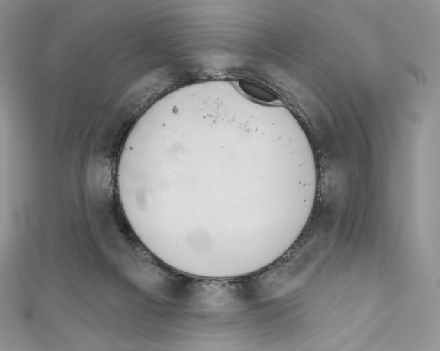 X0000110760121200907271151