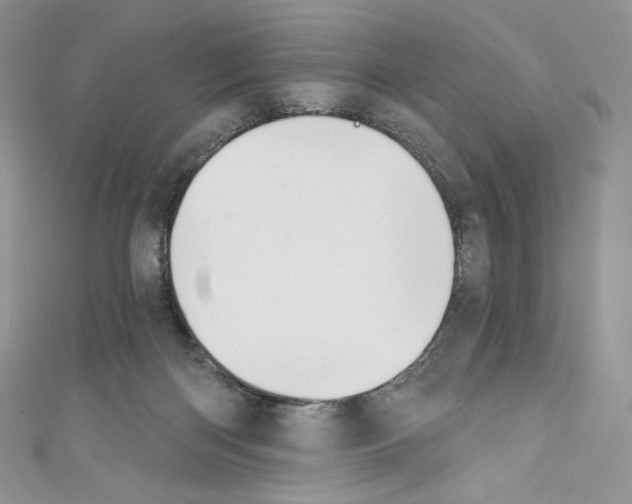X0000110760122200907271151