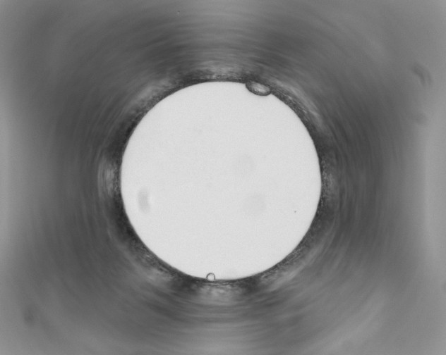 X0000110760123200907271151